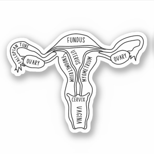 Pegatina Anatomía de Uterus, feminista, ginecóloga, partera (Anverso)