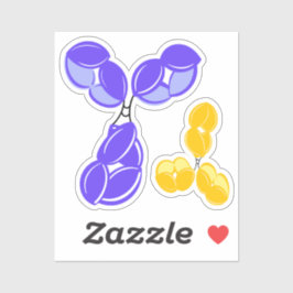 Pegatina Anticuerpos IgG 1 ó 4, morado y amarillo