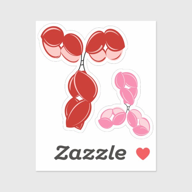 Pegatina Anticuerpos IgG 1 ó 4, rojo y rosa (Hoja)