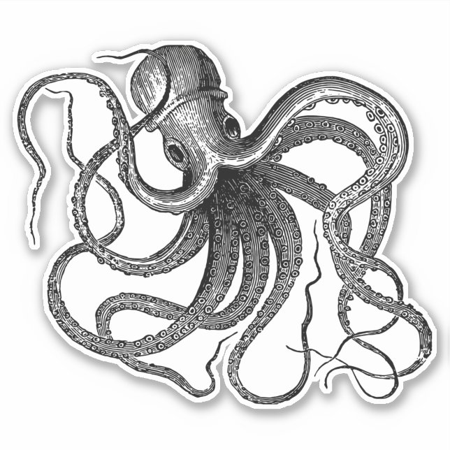 Pegatina Antiguo Otopus Natación (Anverso)