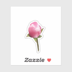 Pegatina Apple Blossom Bud