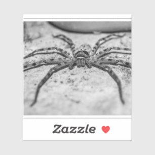 Pegatina Araña cazadora