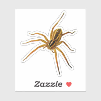 Pegatina Araña lobo rabiosa (Rabidosa rabida)