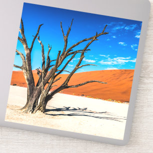 Pegatina Árbol muerto en Deadvlei, Namibia