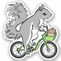 Ardilla Cuta En Bicicleta