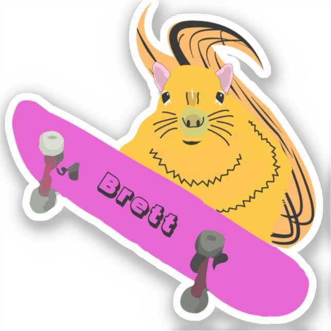Pegatina Ardilla traviesa #502 Brett Skateboarding (Anverso)