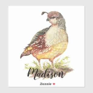 Pegatina Arte de la naturaleza del pájaro de las codornice