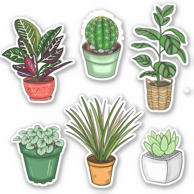 Pegatina Arte de la planta doméstica dibujada a mano (Anverso)