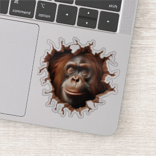 Pegatina Arte de orangután 3D que rompe la pared – Safari r