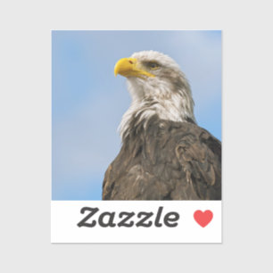 Pegatina Arte de retrato de vida silvestre de águila calva