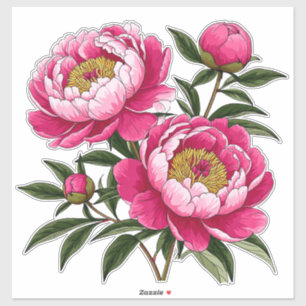 Pegatina Arte floral de peonía rosa vibrante