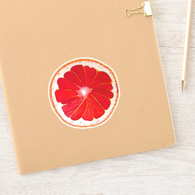 Pegatina Arte pop de pomelo rosa pintado a mano (Cuaderno)
