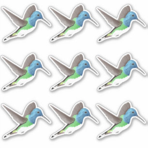 Pegatina Atrapar a Jacobin Hummingbird - 9 veces personaliz