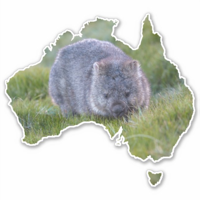 Pegatina Australia Esquema Forma Cute Wombat Tasmania (Anverso)