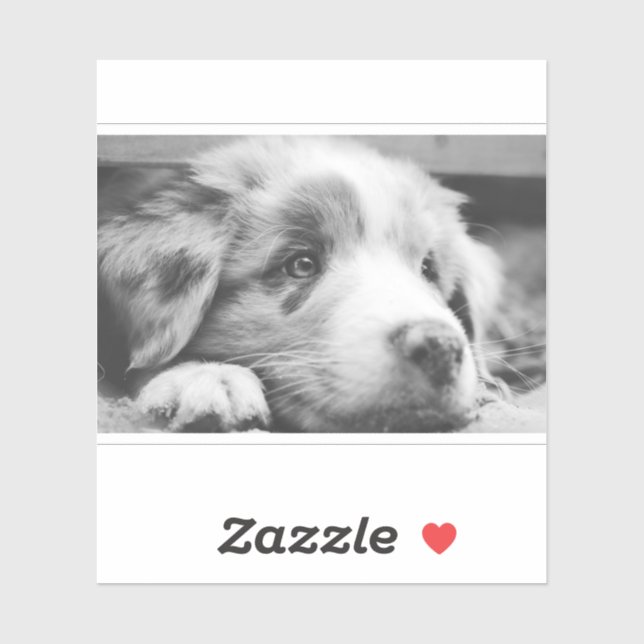 Pegatina australian shepherd puppy bw (Hoja)
