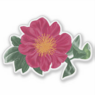 Pegatina Auténtico florecimiento Camellia con hojas
