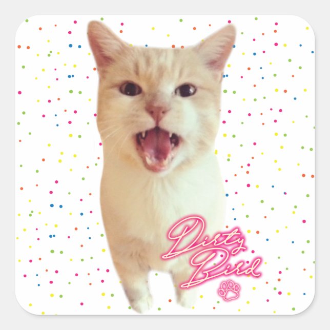 Pegatina autografiado de pájaro sucio (Anverso)