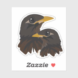 Pegatina Aves de Mina Frecuentes