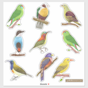 Pegatina Aves nativas/endémicas de Filipinas