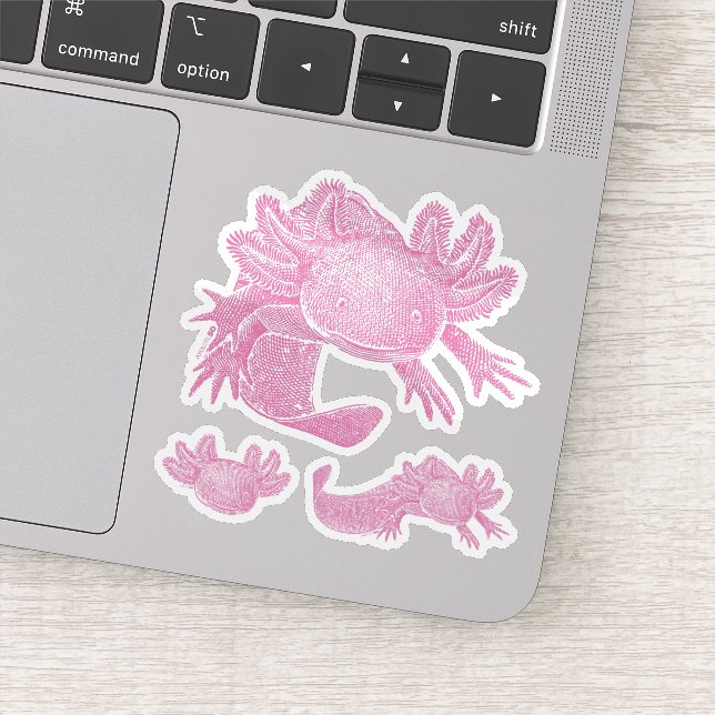Pegatina Axolotl Stickers - PINK - 3 Pack (Detalle)