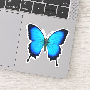 Pegatina azul del contorno de la mariposa de