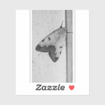 B&W - Ophiusa tirhaca, el hueco verde