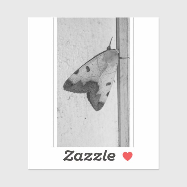 Pegatina B&W - Ophiusa tirhaca, el hueco verde (Hoja)