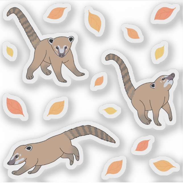 Pegatina Baby Coatis (Anverso)