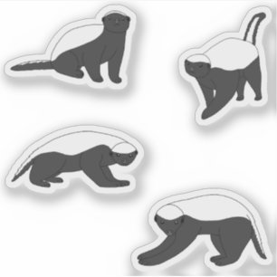 Pegatina Badgers de miel