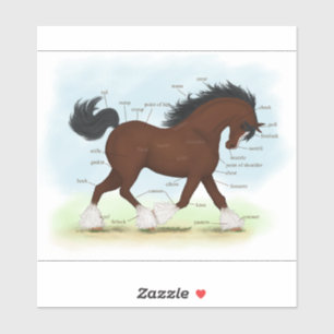 Pegatina Bahía Gráfico de Anatomía de Caballo Clydesdale Ed