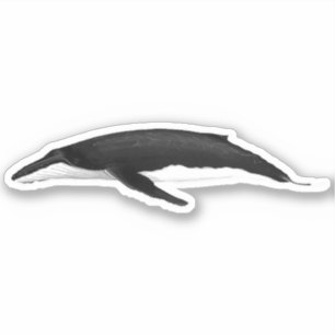 PEGATINA BALLENA HUMPBACK