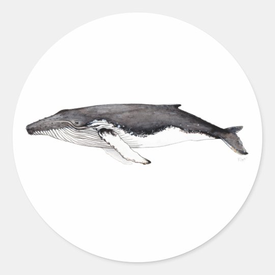 Pegatina ballena jorobada