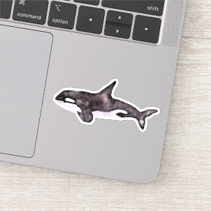 Pegatina Ballena orca