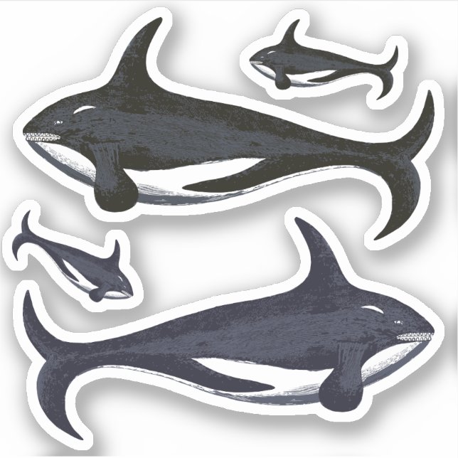 Pegatina Ballenas asesinas (Anverso)