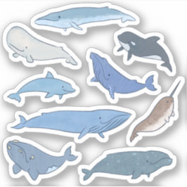 Pegatina Ballenas del mundo