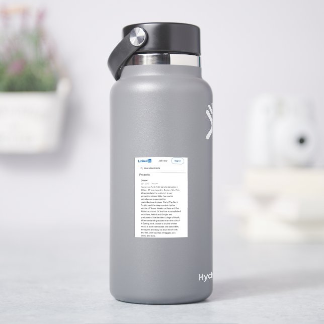 Pegatina Banda Funk-Folk (hidrofrasco)