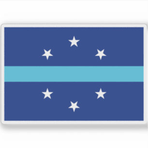 Pegatina Bandera de Anaheim, California (2018-2019)