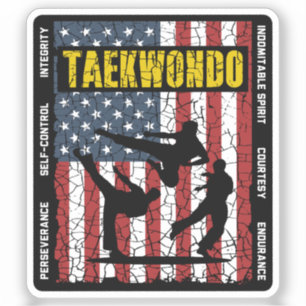 Pegatina Bandera de artes marciales norteamericanas autocon