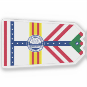 Pegatina Bandera de Tampa, Florida