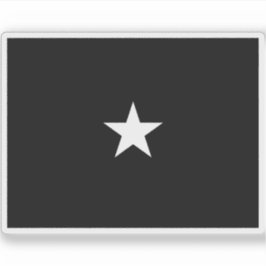 Pegatina Bandera de un brigadier general de la Fuerza Espac