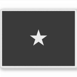 Pegatina Bandera de un brigadier general de la Fuerza Espac