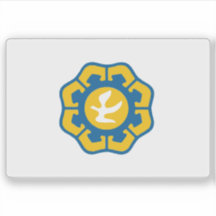 Bandera del municipio de Nicosia (Lefkosia), Chipr