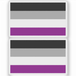 Pegatina Bandera del Orgullo Asexual