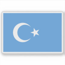 Bandera del Turkestán Oriental (Kök Bayraq)
