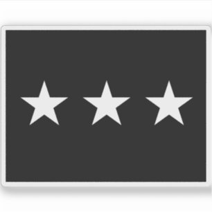 Pegatina Bandera general del brigadier de la Fuerza Espacia