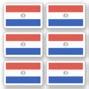 Pegatina Bandera paraguaya