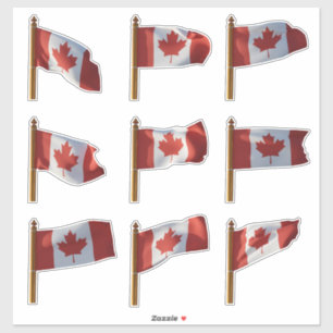 Pegatina Banderas canadienses de la serie IV