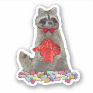 Pegatina Bandido Mapache de San Valentín