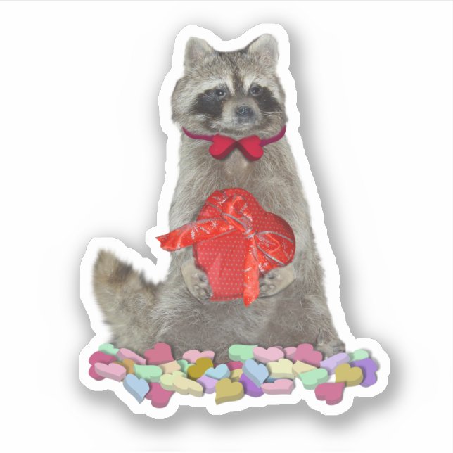Pegatina Bandido Mapache de San Valentín (Anverso)