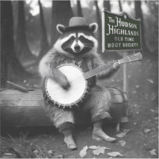 Pegatina Banjo Raccoon